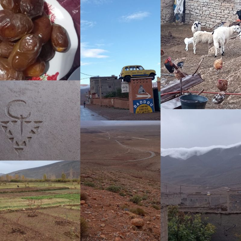 Mosaique-photo-Tamtatouche