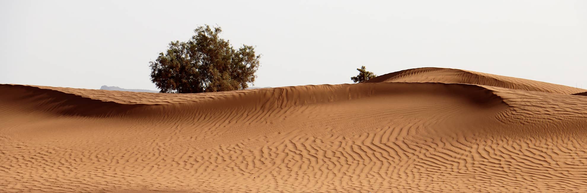 laeti-event-sejour-au-maroc-experience-unique-desert-m-hamid-el-ghizlane
