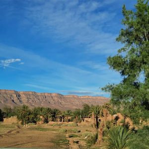 laeti-event-sejour-au-maroc-sur-la-route-de-l-atlas-col-tichka-2