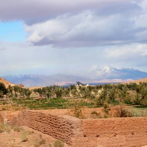 laeti-event-sejour-au-maroc-sur-la-route-de-l-atlas-col-tichka-8