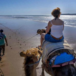 aeti-event-sejour-exclusivement-feminin-essaouira-juin-maroc-dromadaire