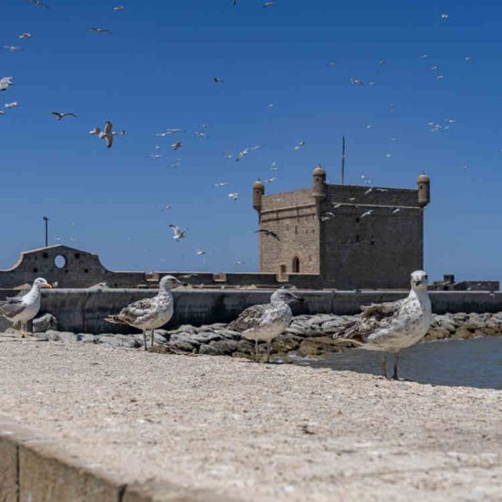 laeti-event-sejour-exclusivement-feminin-essaouira-juin-maroc-tour-port