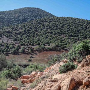 laeti-event-sejour-feminin-marrakech-automne-maroc-haut-atlas-entrepreneures-entrepreneuses