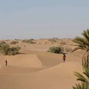 laeti-event-sejour-mars-désert-unique-bivouac-femme-atypique-jour-3-palmeraie