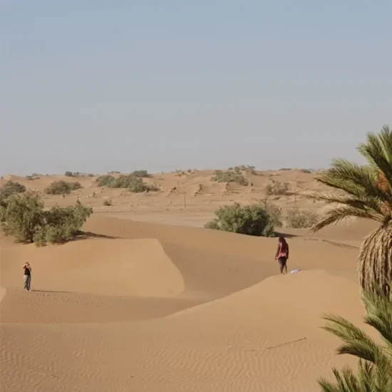 laeti-event-sejour-mars-désert-unique-bivouac-femme-atypique-jour-3-palmeraie
