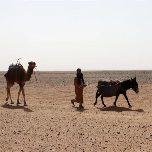 laeti-event-sejour-mars-désert-unique-bivouac-femme-atypique-jour-4-dromadaire