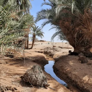laeti-event-sejour-mars-désert-unique-bivouac-femme-atypique-jour-4-oasis