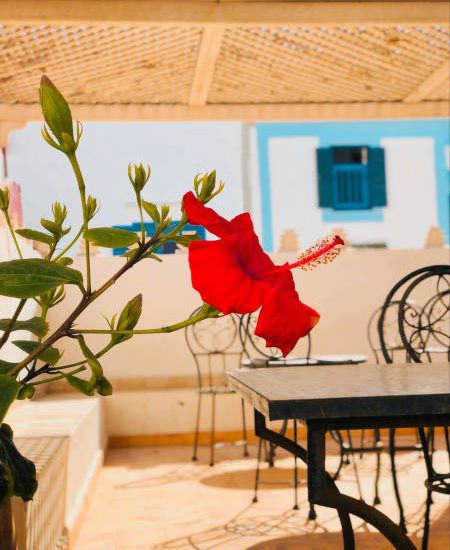 laeti-event-sejours-maroc-fleur