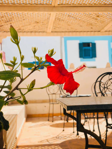 laeti-event-sejours-maroc-fleur