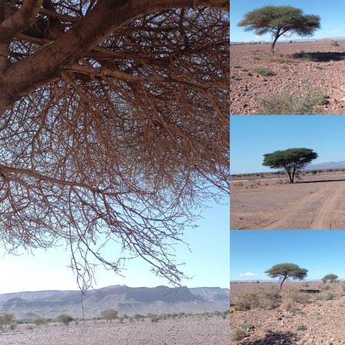 laeti-event-sejours-maroc-grand-atlas