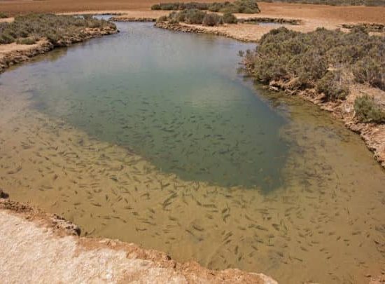 laeti-event-sejours-maroc-sebkha-imlil