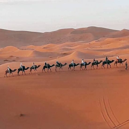 leati-event-questions-sur-le-maroc